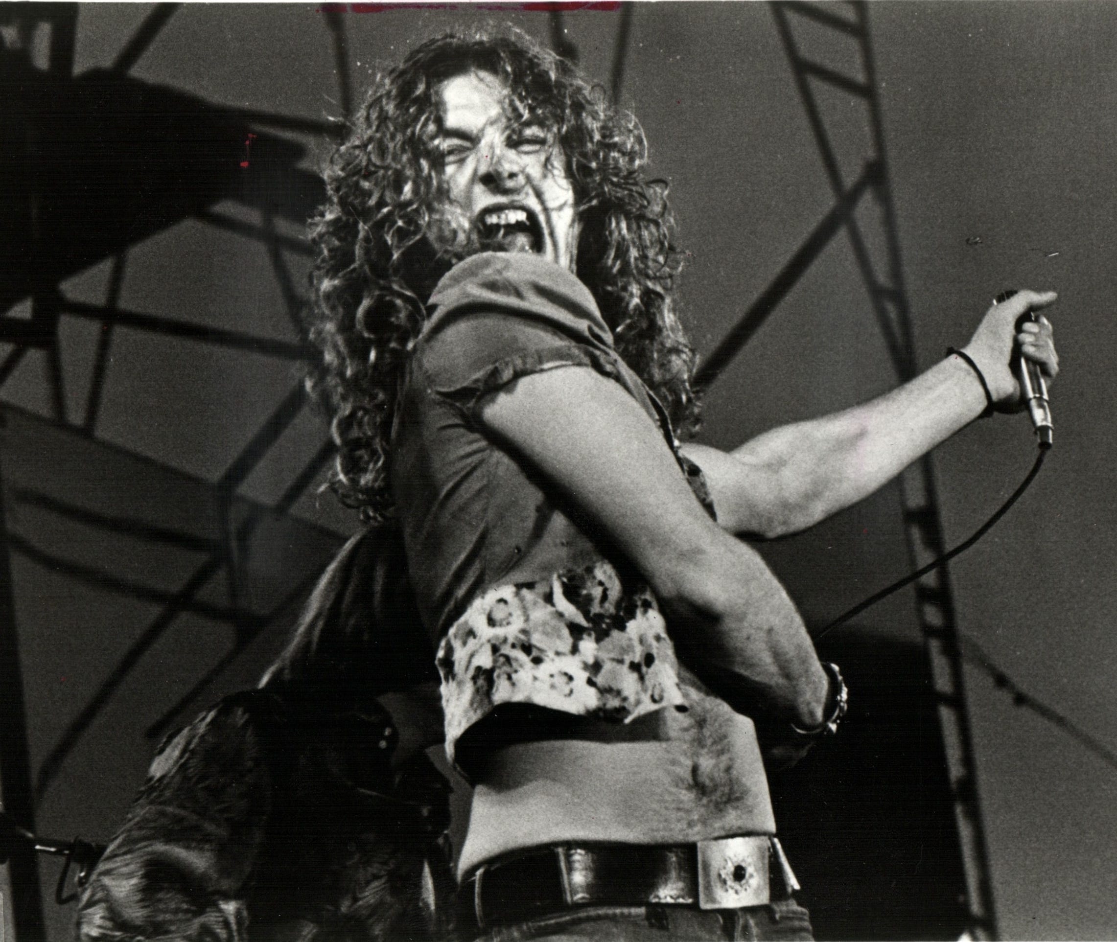 greta led zeppelin